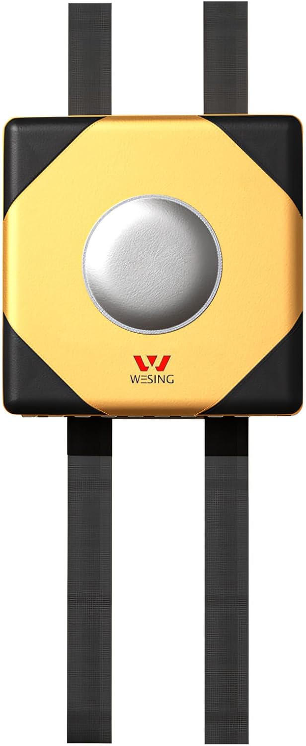 WESING Wall Focus Target Punch Boxing Bag Mat for Martial Arts