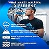 Waiakea - Hawaiian Volcanic Naturally Alkaline Water - Pepe 24 Pack (330 mL, 11.1 Fl Oz) - pH Range 7.6 to 8.2 - Natural Volcanic Rock Filtration - Electrolytes and Minerals - Water Bottles 24 Pack