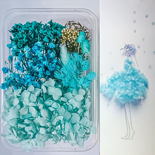 Flores secas naturales prensadas para decoración y manualidades miniatura 6