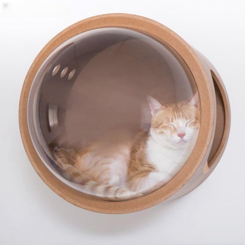 Amazon | 壁掛けカプセル猫の巣、完全密閉壁、透明カバー、猫宇宙