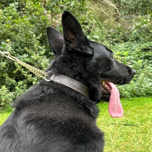 Kamboj9 k9 Handmade Leather Martingale Collar for Dogs 100% Brass Hardware Suitable for Medium, Large, Extra Large Breed Dogs Training. Includes Leather Apple Airtag Dog Collar Pocket. (Medium)