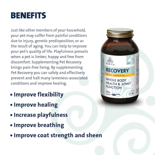 PURICA Pet Recovery Powder X-Strength - 350g, Dog Joint and Hip Supplement, Joint Care for Enhanced Mobility & Comfort - Image 3