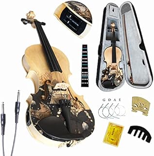 Aliyes Electric/Acoustic Violin Set for Beginners Special Designed Gift for Kids/Beginner with Hard Case,Bow,Extra Strings (4/4/Full-size)