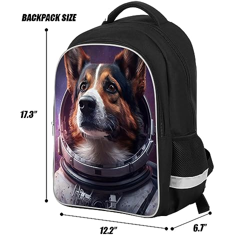 Zrentao Dinosaur Backpack For Boys Back To School Gift For Elementary School Kids Reflective Lightweight Tyrannosaurus Bookbag For Students Large Capacity, 17 Inch Black #TOP2