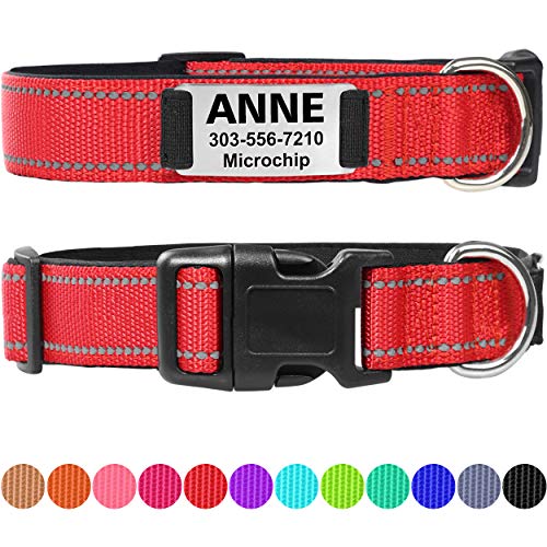 Taglory Personalized Dog Collar with Nameplate, Custom Engraved Pet ID Tags No Noise,Reflective