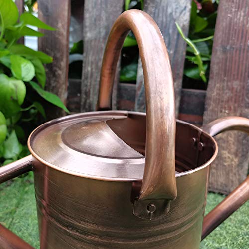 yourjoy Sliver Galvanized Steel Watering Can with Copper Accents,Removable Rosette-Diffuser,One-Gallon