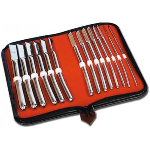 Gima - Gynäkologisches Set von Hegar-Dilatatoren, enthält 14 Chromdilatatoren mit einem Durchmesser von 4 bis 17 mm, in einem Praktischen Instrumentenkoffer Enthalten Cover