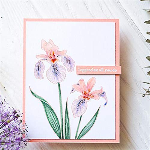 2.8x4.1inch Clivia Flower Clear Stamp and Dies Set Die Cuts Metal Cutting Die for Scrapbooking Card Making
