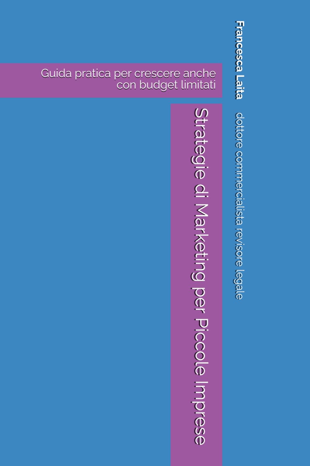 Strategie di Marketing per Piccole Imprese: Guida pratica per crescere anche con budget limitati