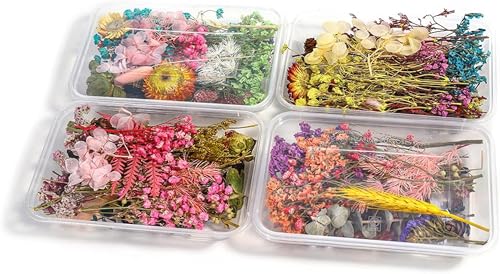Resina Epóxica Natural para Joyas DIY con Flores Secas miniatura 3