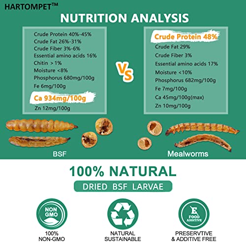 GRUBSFARM HARTOMPET Better Than Dried Mealworms for Chickens 5 lbs - 85X Calcium Than MealWorms - Non-GMO Chicken Feed Additive - Black Soldier Fly Larvae Treats for Hens, Ducks, Wild Birds - Image 3