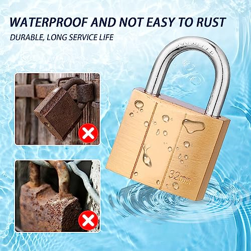 DBALL 4 Pezzi Lucchetto 32mm con 8 Chiave