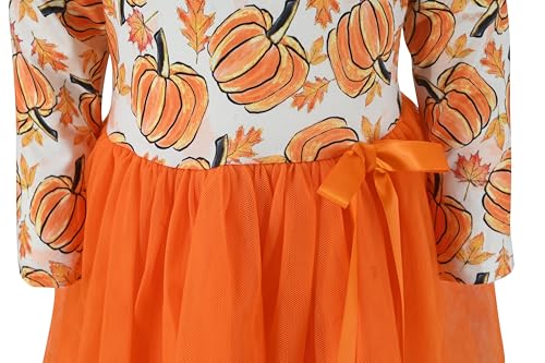 Image of Girls Long Sleeve Tulle Tutu Dresses for Kid and Toddler