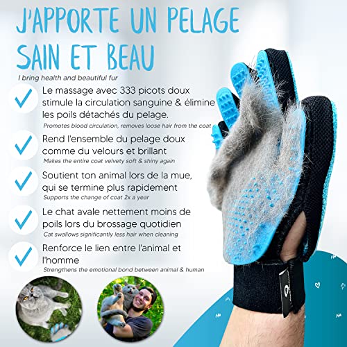 LÖWENKÖNIG 1 (Gant de toilettage Bleu) – Image 4