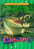 Caimans (Animals of the Rain Forest)