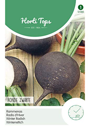 Hortitops 12580 Winterrettich Runder Schwarzer (Rettichsamen)