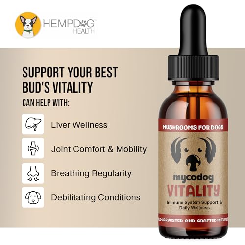 Mushroom Blend For Dogs With Cancer