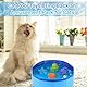 Katzenpool, 30 x 10 cm rutschfeste Katzenwanne, Schwimmbad für Hunde und Katzen im Sommer, Mini Pool für Kätzchen und Welpen zum Spielen und Baden (Blau)