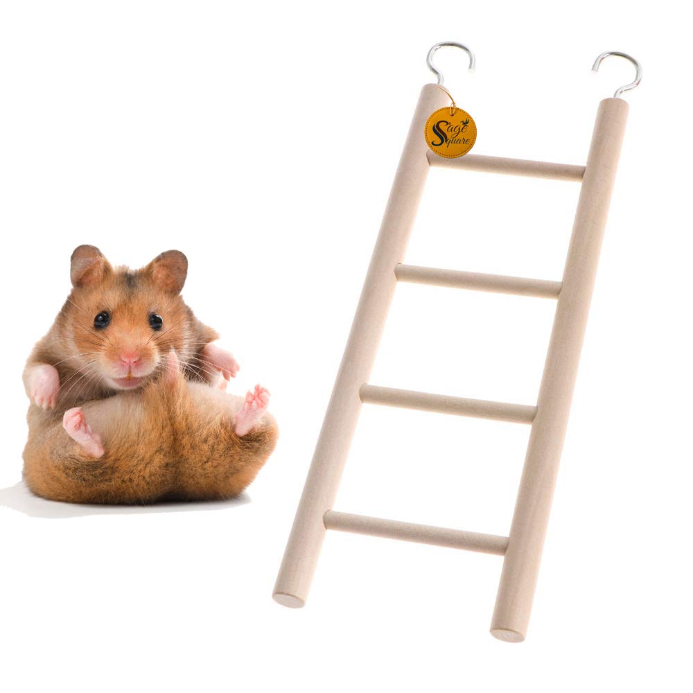 See full amazon price history chart for Sage Square Playful Natural Wooden Climbing Ladder Toy for Exercise & Fun || with Hooks to Hang on || for Hamsters, Sugar Glider, Dwarf, Rat, Mice, Gerbil || 4 Level / 22cm Sage Square Playful Natural Wooden Climbing Ladder Toy for Exercise & Fun || with Hooks to Hang on || for Hamsters, Sugar Glider, Dwarf, Rat, Mice, Gerbil || 4 Level / 22cm (B08KG81L15) Amazon Price History, Amazon Price Tracker
