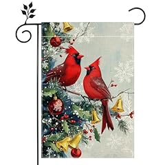 Cardinal Red Bird - 2