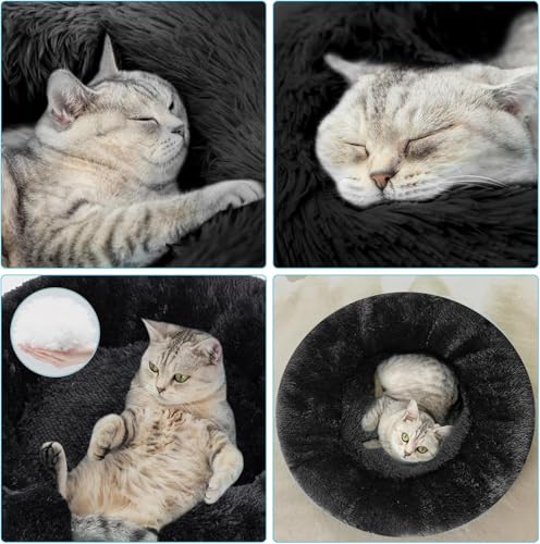 Image of ZEXSAZONE The Round Doughnut pet Bed is Perfect for Indoor Dogs Mat Round Foam Pet Bed | Dog Bed | Cat Bed | Puppies Puppy Bed | Puppies Winter, Summer