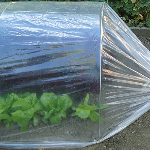 TENAX Dot Film 2,00x10 m Film de Forçage Micro-perforé Transparent pour Protéger Cultures,...