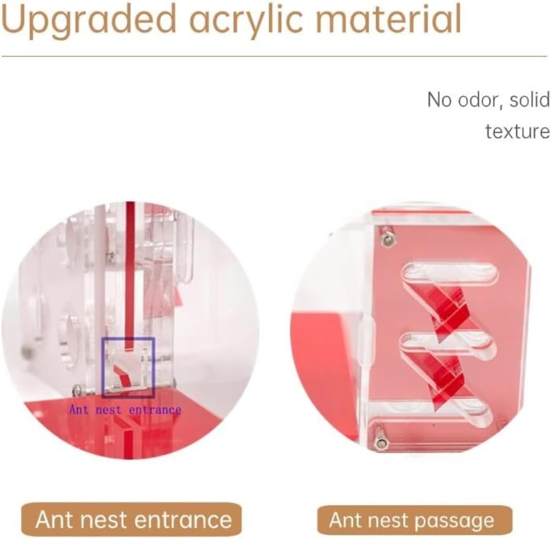 Ant Farm Plaster Tube Adult Ant Farm Acrylic Transparent Observation Behavior Study Live Ants and Queen Habitat