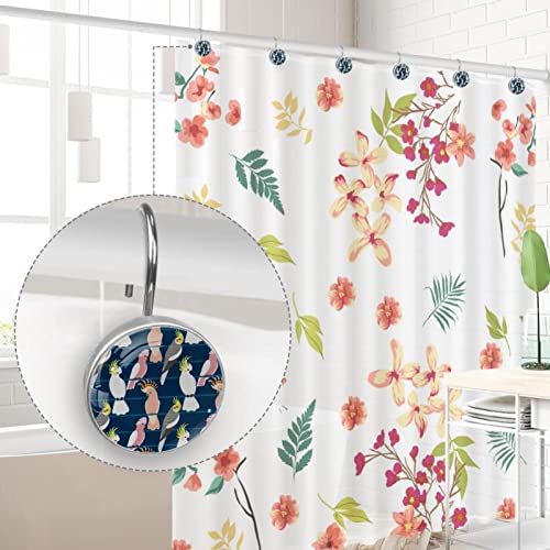 Crochets rideau de douche acier inoxydable accessoires salle de bain