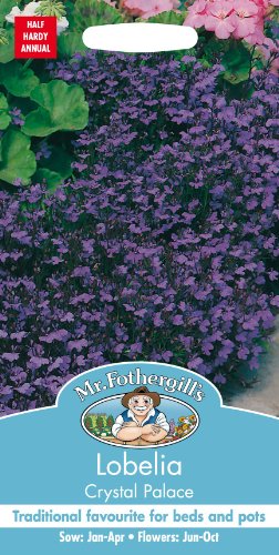 Mr Fothergills - Pictorial Packet - Flower - Lobelia Crystal Palace - 2500 Seeds