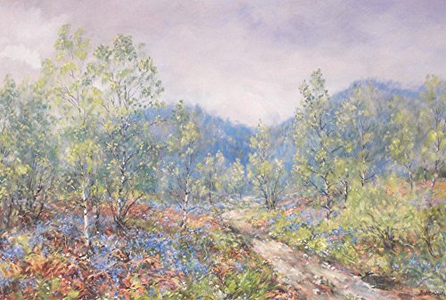 Lithographie Howard de Butterworth : paysage de bois, jacinthes et bouleaux