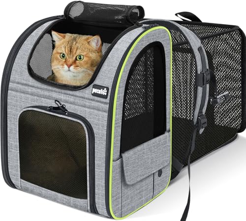 Pecute Mochila Gato＜6kg Mochilas para Gatos y Perro Transportin Gato Expandible y Plegable para Viajar en Tren/automóvil/Restaurante, Gris (Ventana de Malla)