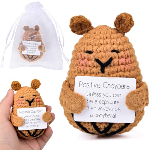 xinrongda Funny Positive Capybara Wool Gifts Mini Knitted Doll with Card, Motivational Gift for Patient, Bosom Friend, Girlfriend, Team (LZ-PCP)