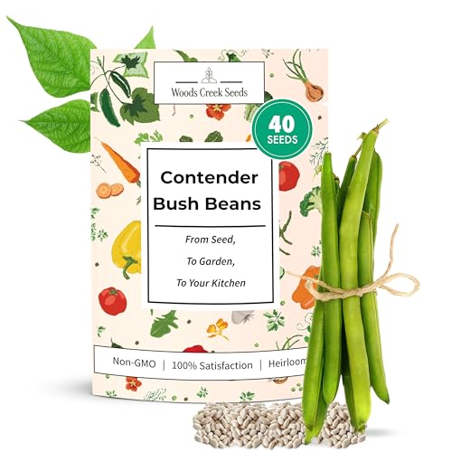 Contender Bush Bean Seeds – Heirloom Non-GMO Green Snap