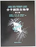 分子細胞生物学 (第5版)(ロディッシュ)
