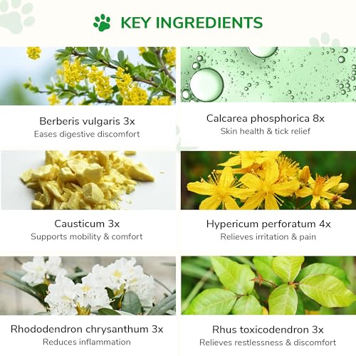 Bakson Veterinary | Worm Aid Drops | Deworming Medicine for Pets | Worm Infestation Medicine | Pet Deworming | Easy to Use | Safe Medicine | No Side Effects | 30ML