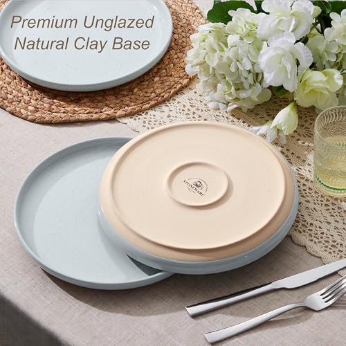 Image of LIANYU Stoneware Dinner Plates Set of 4, 10.5'' Large Round Ceramic Plates, Dessert Serving Dishes Set for Kitchen Dining, Oven, Microwave & Dishwasher Safe, Scratch Resistant, Glacier Gray