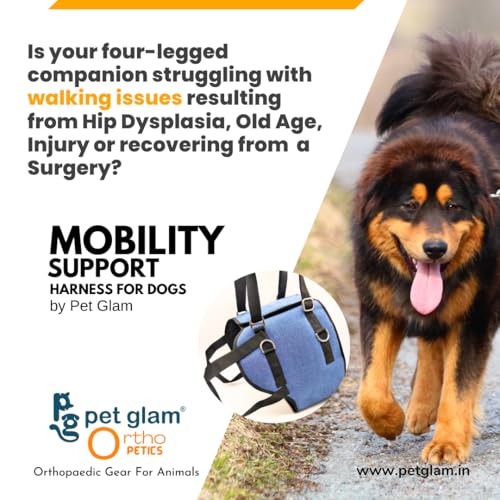 Image of Joey-S Mobility Support Harness for Old & Sick Dogs | Adjustable Lift & Assist Dog Sling for Injury Recovery | Padded Rehabilitation Walking Aid | Black | Small Size