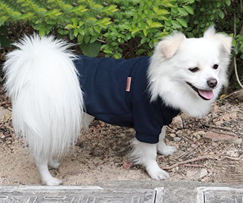 HuaLiSiJi Hundepullover Fleece Kleine Hunde Hoodie Chihuahua Kleidung Hundepullover Chihuahua Hunde Sweatshirt, Warm und Leicht, mit Einer Weichen Textur, Leicht zu Tragen (M, Schwarz)