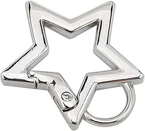 Amazon.com: Leimezsty Car Key Chain,Stainless Steel Spring Snap Hook ...