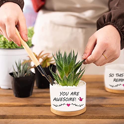 Inspirational Gifts For Women, Mother's Gifts Birthday Gift For Women Ideas Gardening Gifts For Friends Mom Sister - You Are Awesome -Home Decor Planter Succulent Pots #TOP3