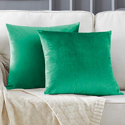 GIGIZAZA Set of 2 Turquoise Cushion Covers, Velvet Cushion Covers, Decorative Cushion Cover, Sofa Cushion, Decorative Cushion for Living Room, Bedroom, Sofa, Car, 45 cm x 45 cm