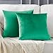 Gigizaza Turquoise Housse de Coussin en Velours Décoration Taie d'oreiller pour Salon Canapé Chambre 45x45CM Ensemble de 2
