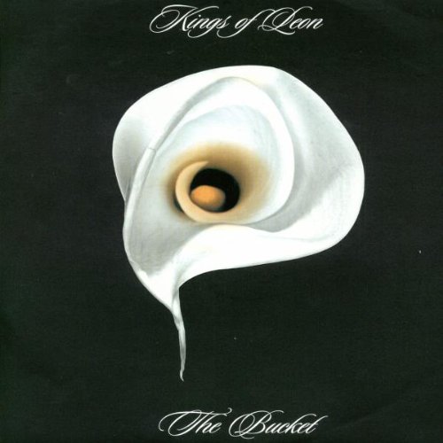 The Bucket Kings of Leon Amazon.in Music}