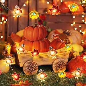 Timer 8 modes10ft 30led thanksgiving lights decoration battery operated copper wire string lights thanksgiving turkey maple pumpkin lights thanksgiving lights indoor home autumn harvest fall decor  urban country home decor