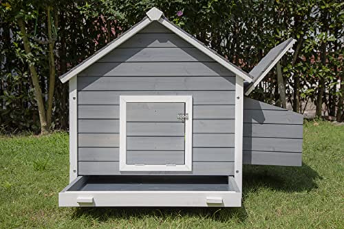 Pets Imperial® Hawksmoor Hühnerstall – Grau – 2 Nistplätze – Hühnerhaus aus Holz – Schiebetablett & Dach zum Öffnen – Bild 5