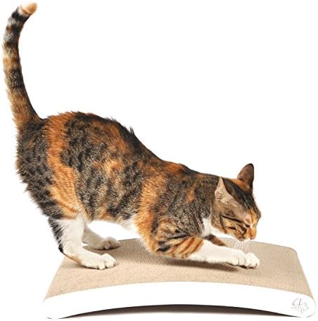 4CLAWS Curve Scratching Pad (White) - Basics Collection Cat Scratcher