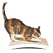 4CLAWS Curve Scratching Pad (2 Pack, White) - BASICS Collection Cat Scratcher