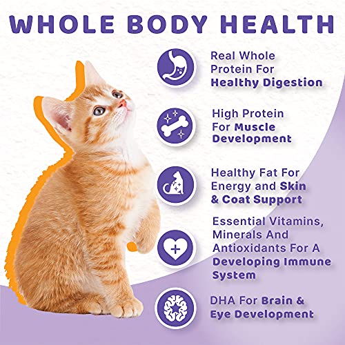 Halo Holistic Kitten Food Dry, Grain Free Cage-Free Chicken Recipe, Complete Digestive Health, Dry Cat Food Bag, Kitten Formula, 6-Lb Bag #TOP3