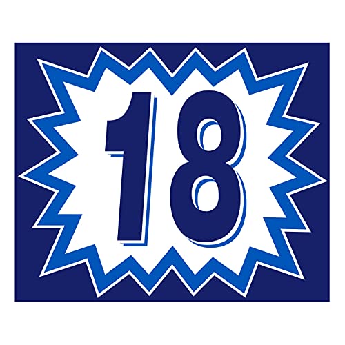 2 Digit Blue and White Model Years Windshield Sticker CAR