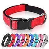 Banda Reflectante: el diseño reflectante del collar para perros lo hace visible en noches oscuras y en condiciones de poca luz, y mejora la seguridad cuando usted pasea con su perro por la noche.